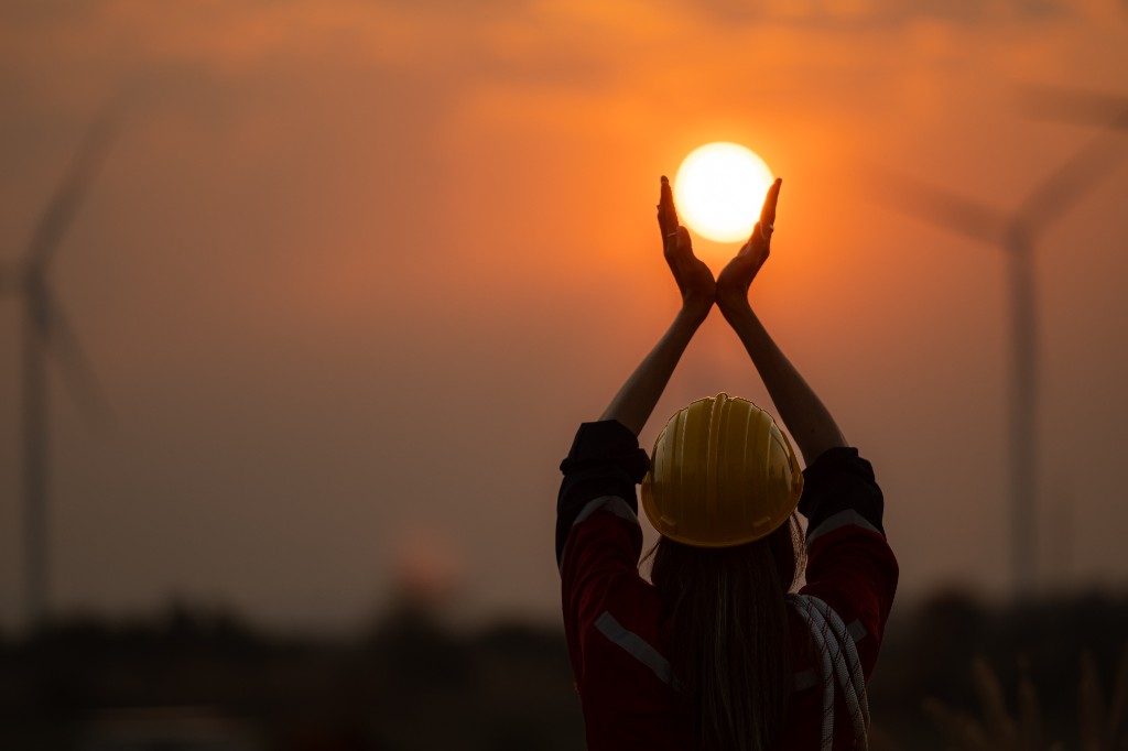 Yenilenebilir kaynak - doğa ve büyüme